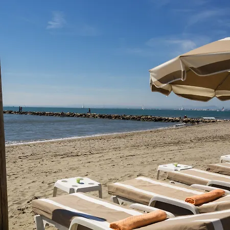Thalazur Port-camargue - & 酒店 4*