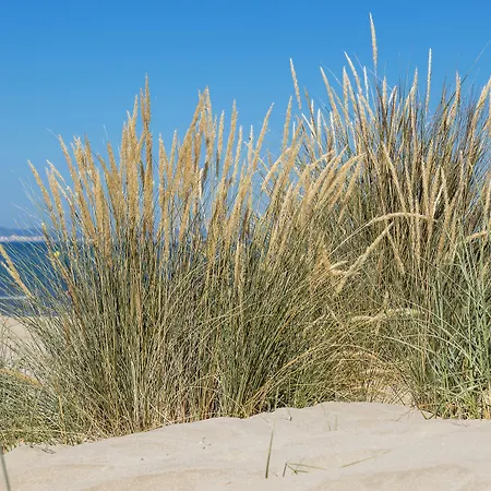 Thalazur Port-camargue - & 勒格罗-迪鲁瓦